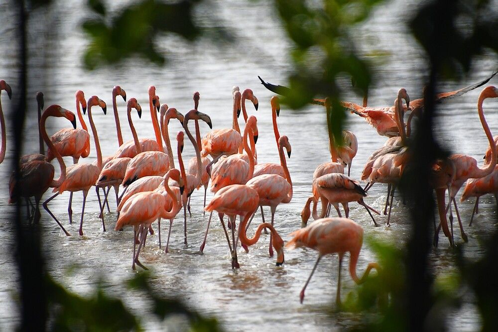 Photograph by Marzio Fattorini