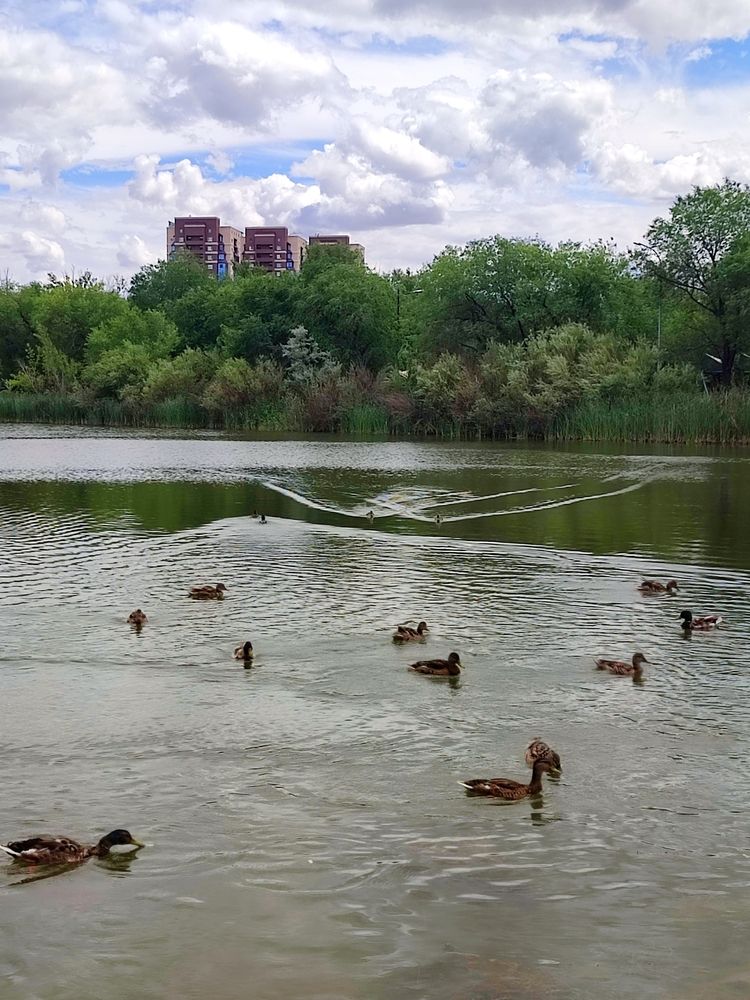 Photograph by Ирина Строкова