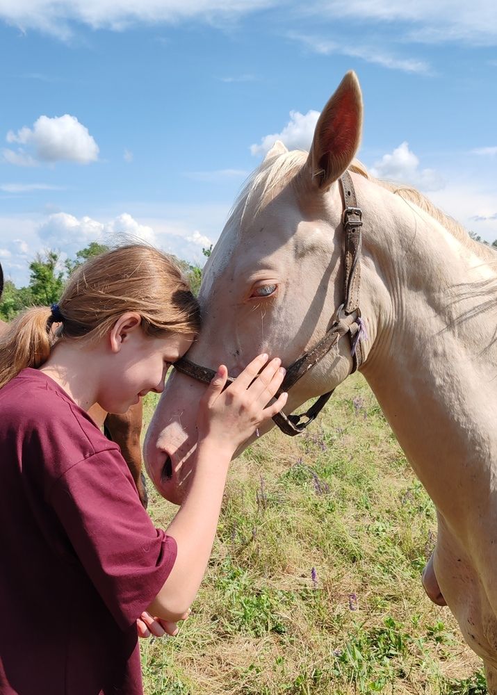 Фотография автора Кравцова Светлана
