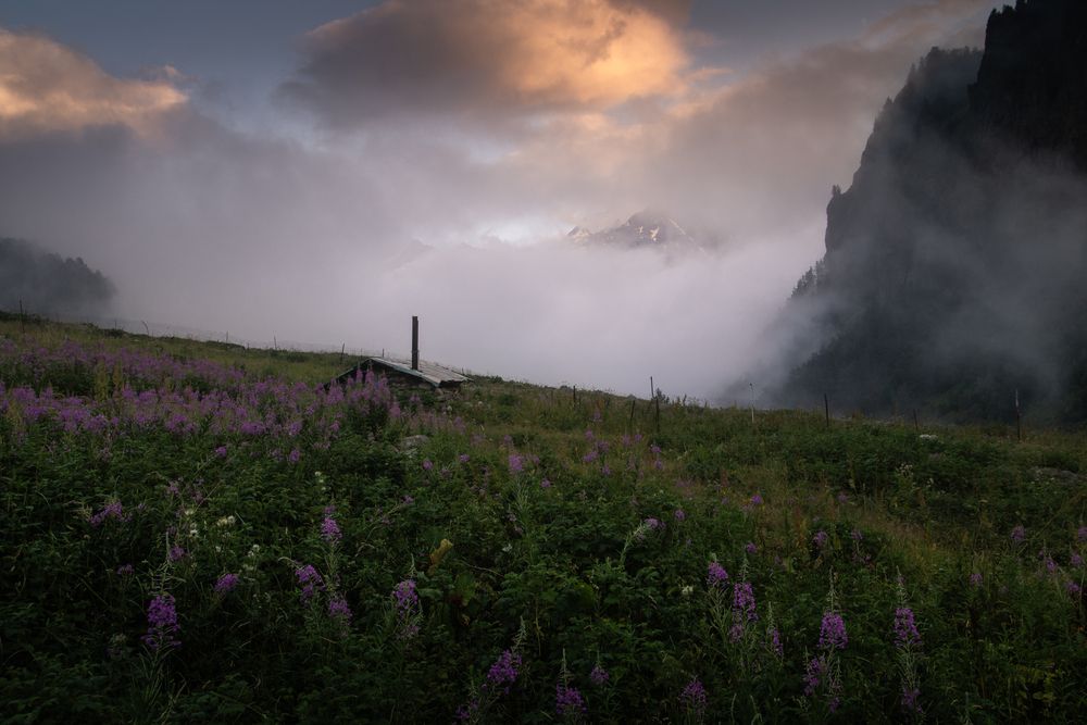 Photograph by Семён Кузнецов