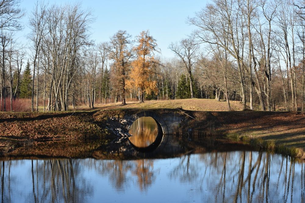 Photograph by Юлия Финогенова