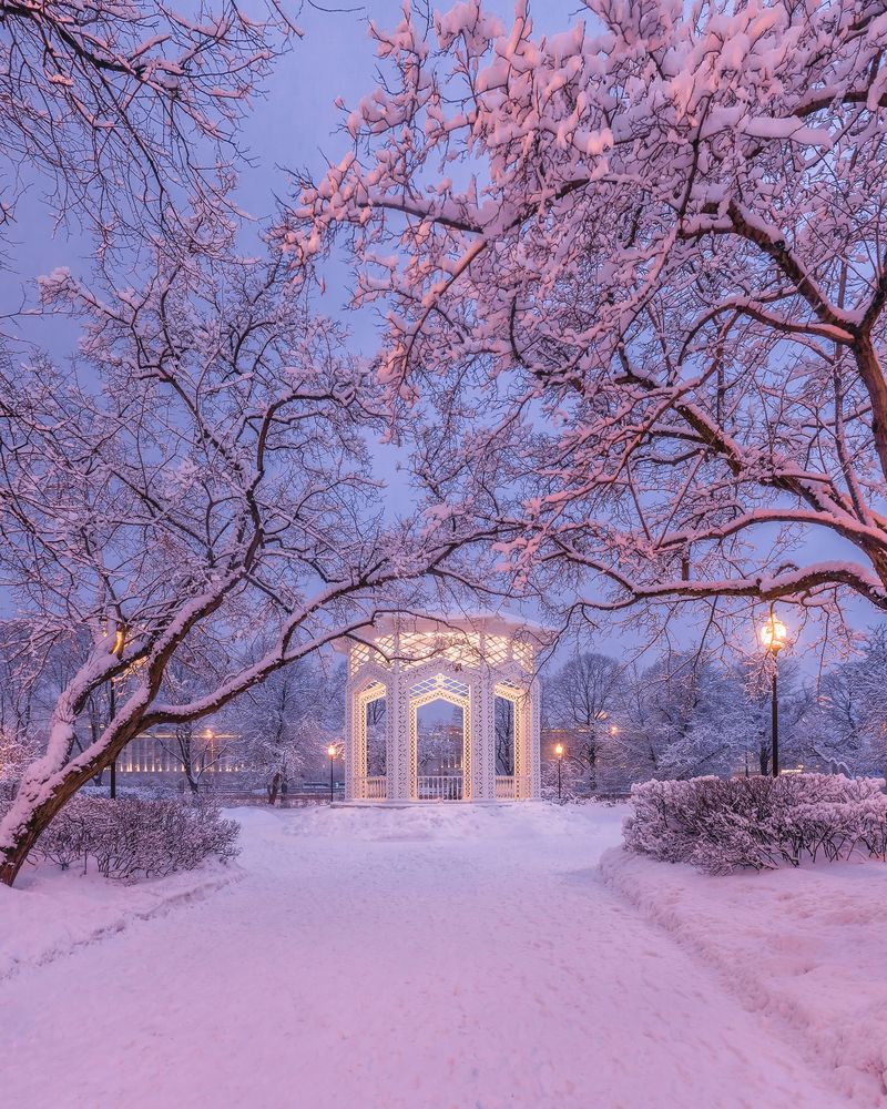 Photograph by Мазурева Анастасия