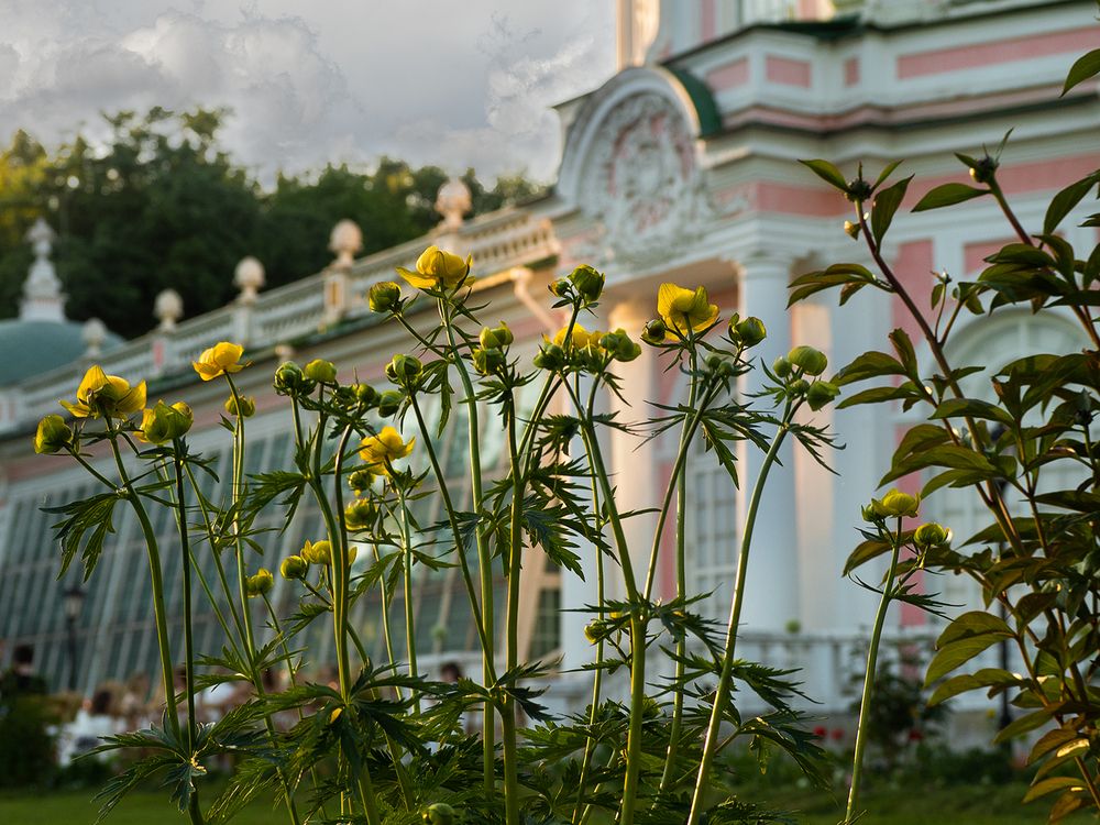 Photograph by Елена Григорович