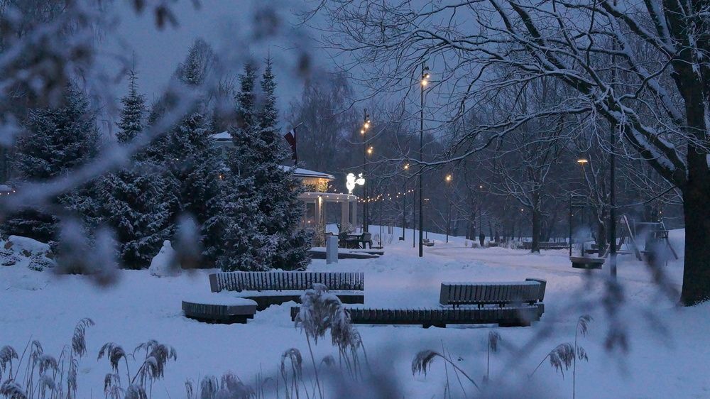 Photograph by Вовкин Сын