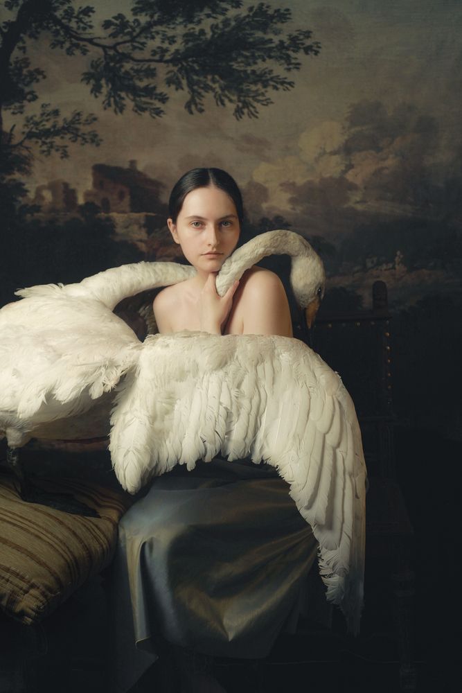 Соня и Лебедь