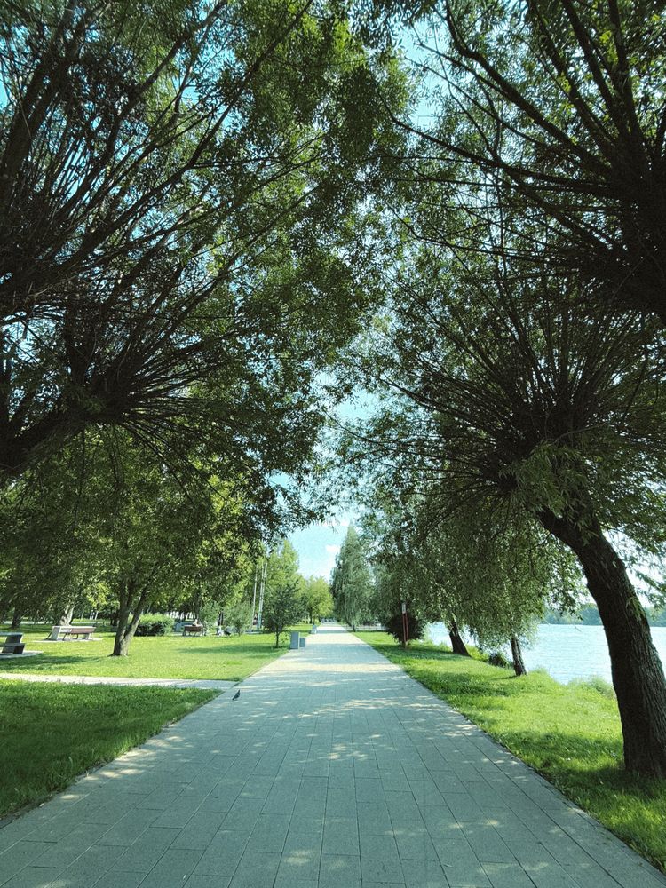 Photograph by Елена Чулюнина