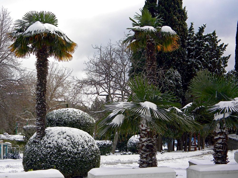 Photograph by Савоцкий Роман