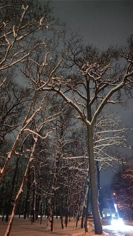 Photograph by Екатерина Александровна