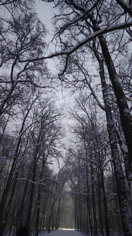 Photograph by Екатерина Александровна