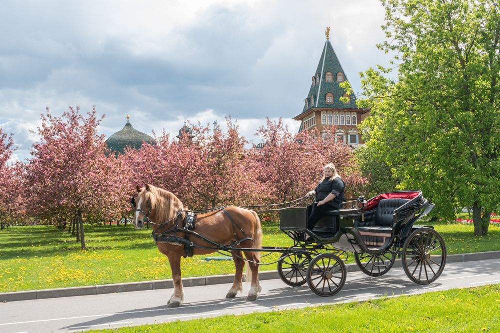 Photograph by Анастасия Григорян