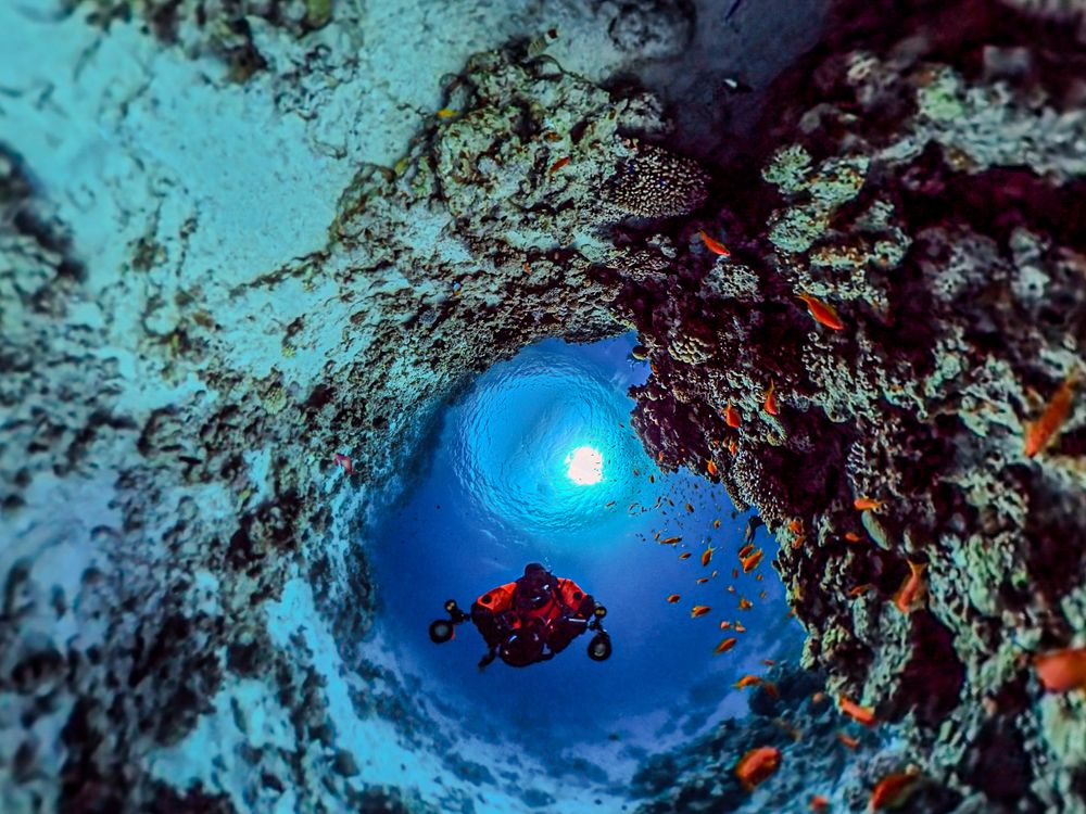 Photograph by Дмитрий Плотников