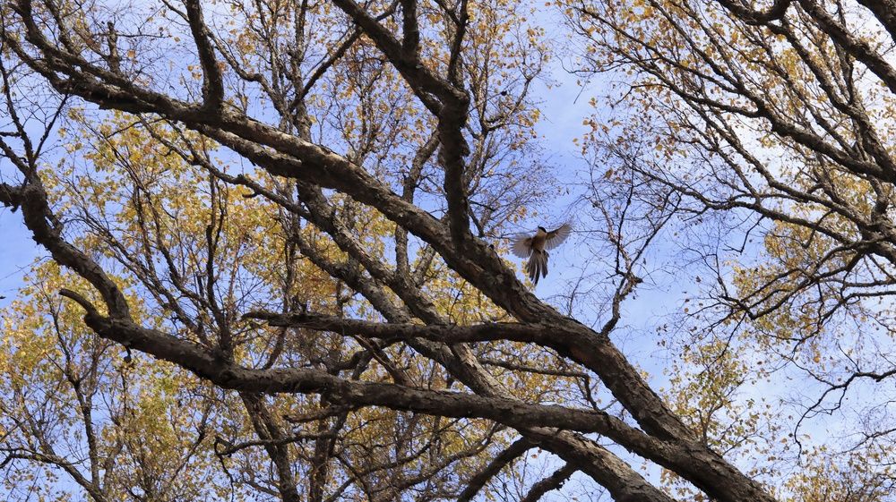 Photograph by Сергей