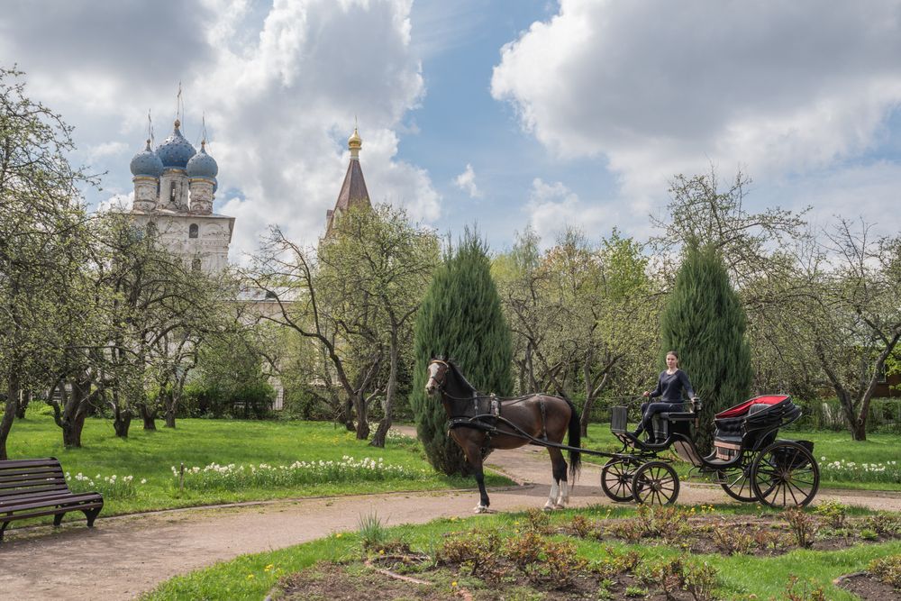 Photograph by Анастасия Григорян