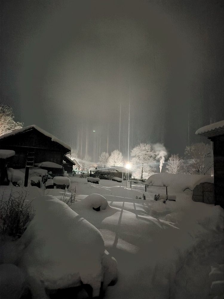 Photo #13047990