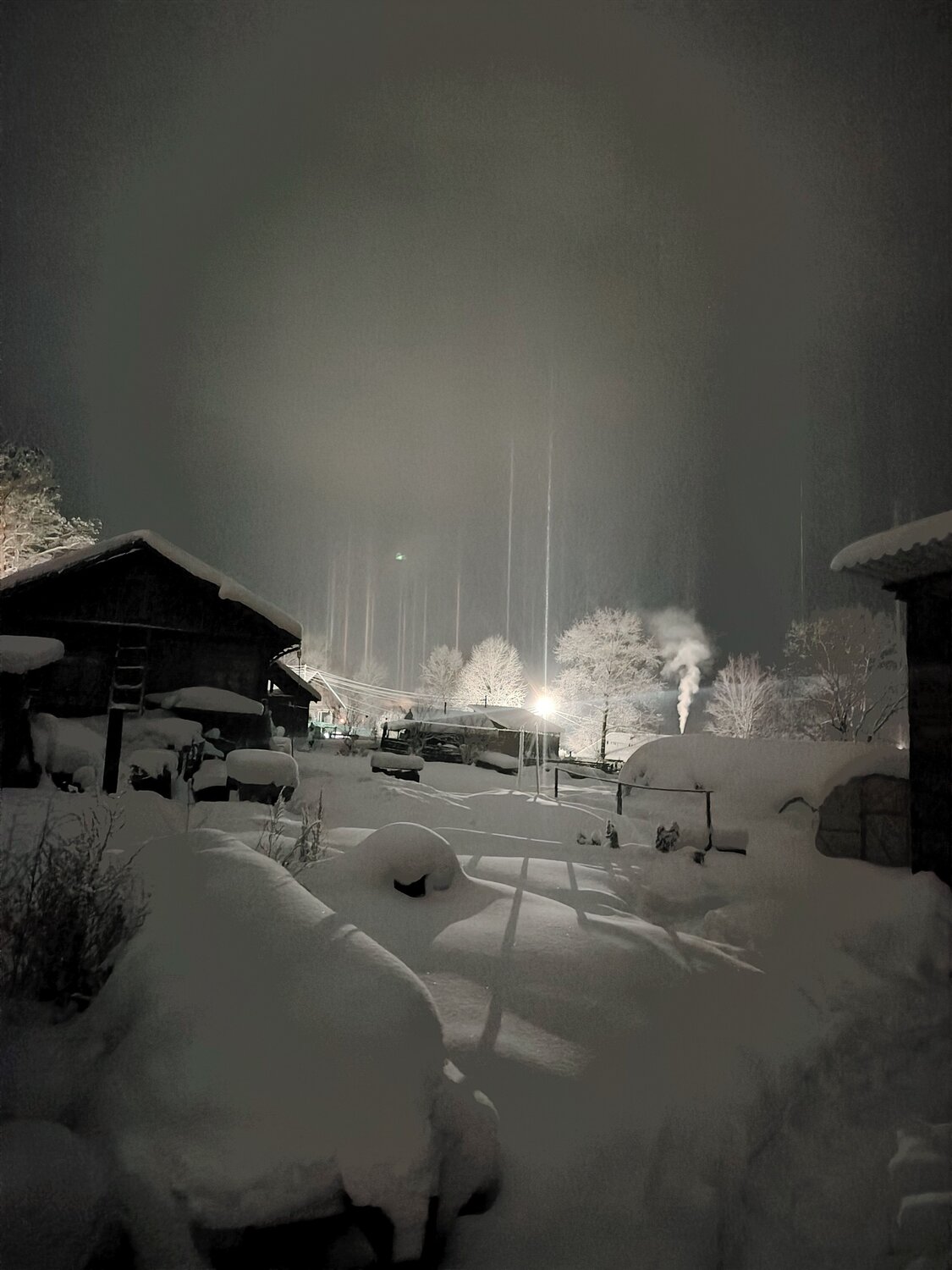 Photo #13047990