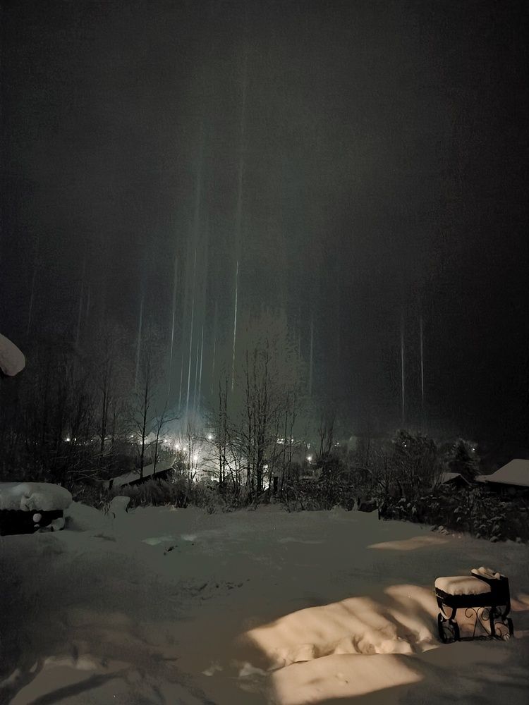 Photo #13047991