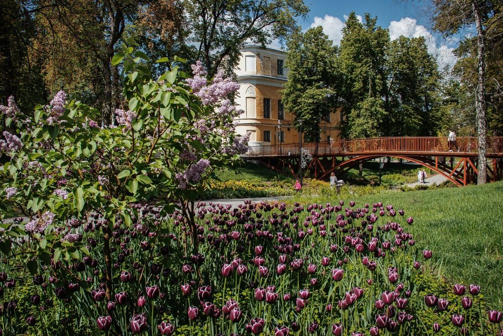 Photograph by Анна Любимова