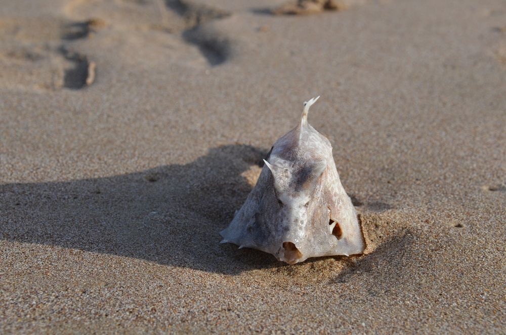 Photograph by Наталья Бикина