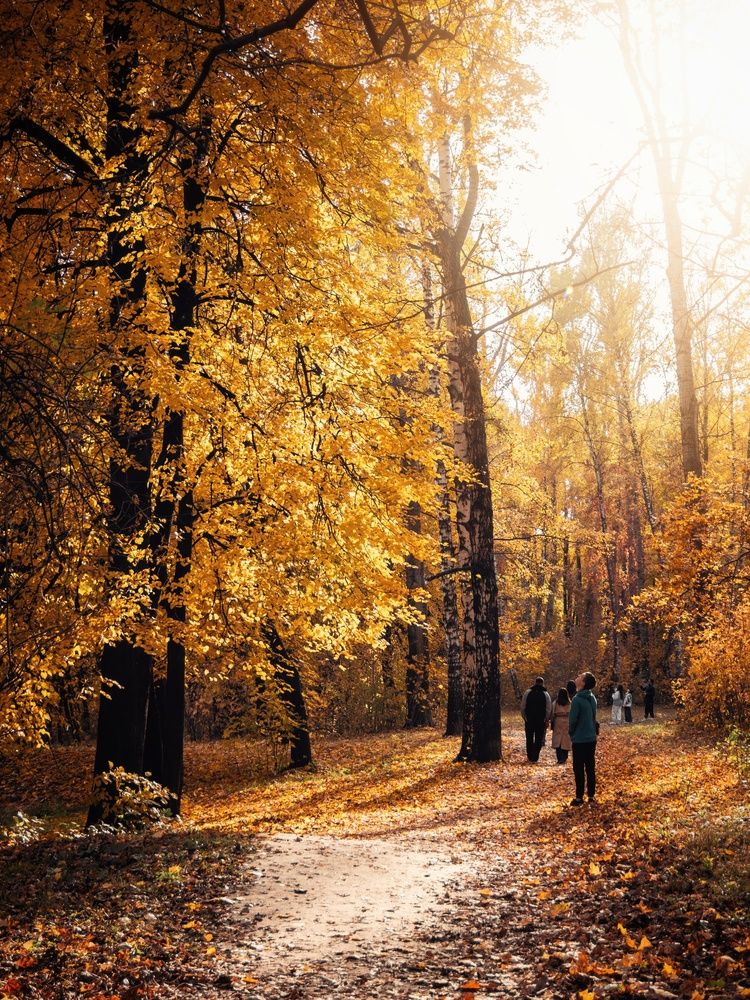 Photograph by Анна Любимова