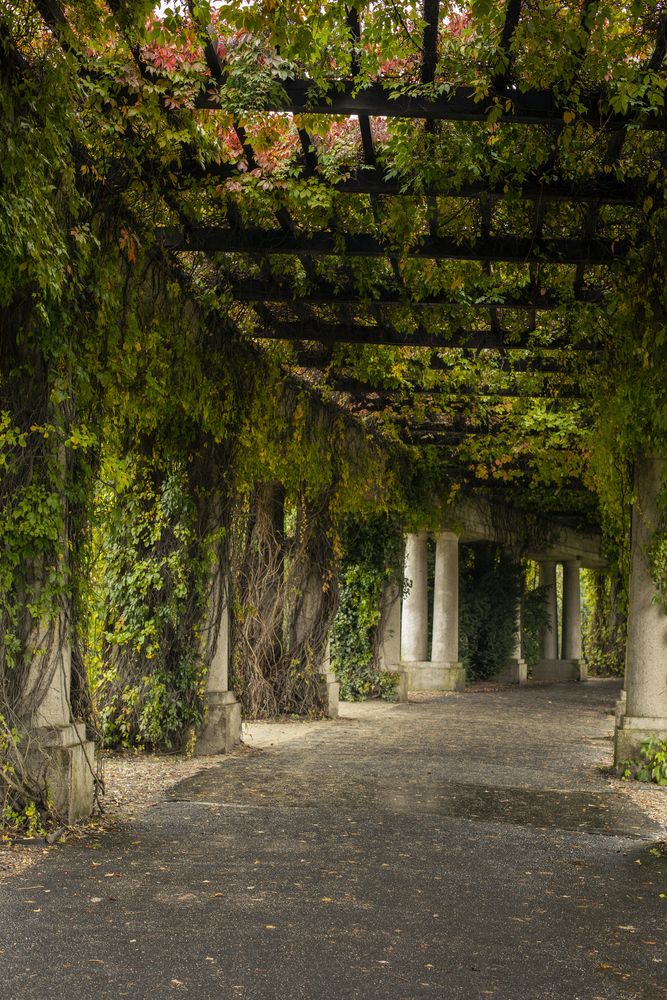 Photograph by Татьяна Дрозд