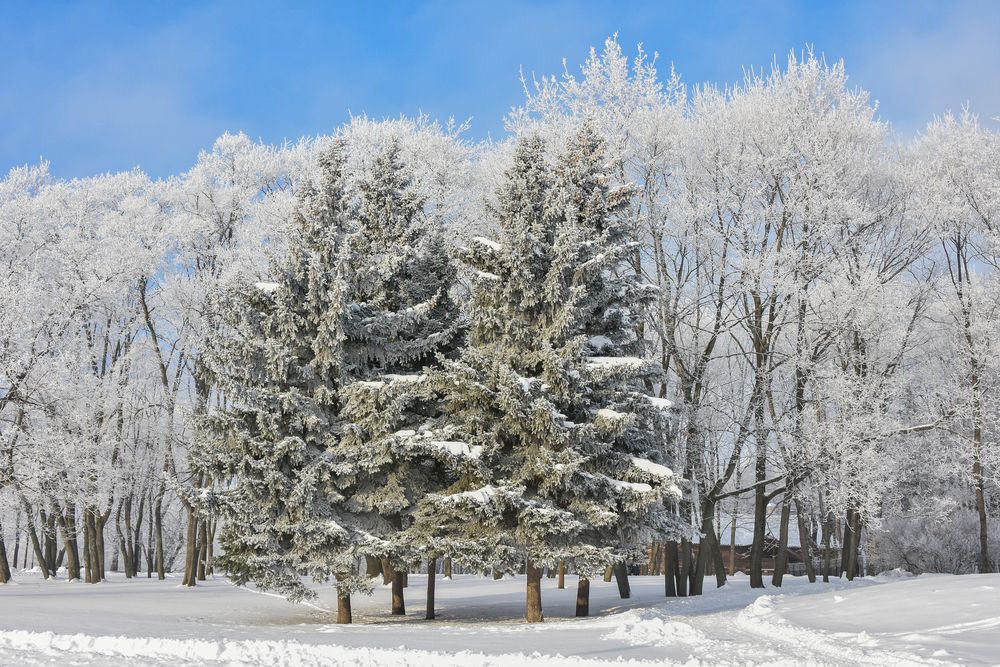 Photograph by Анастасия Григорян