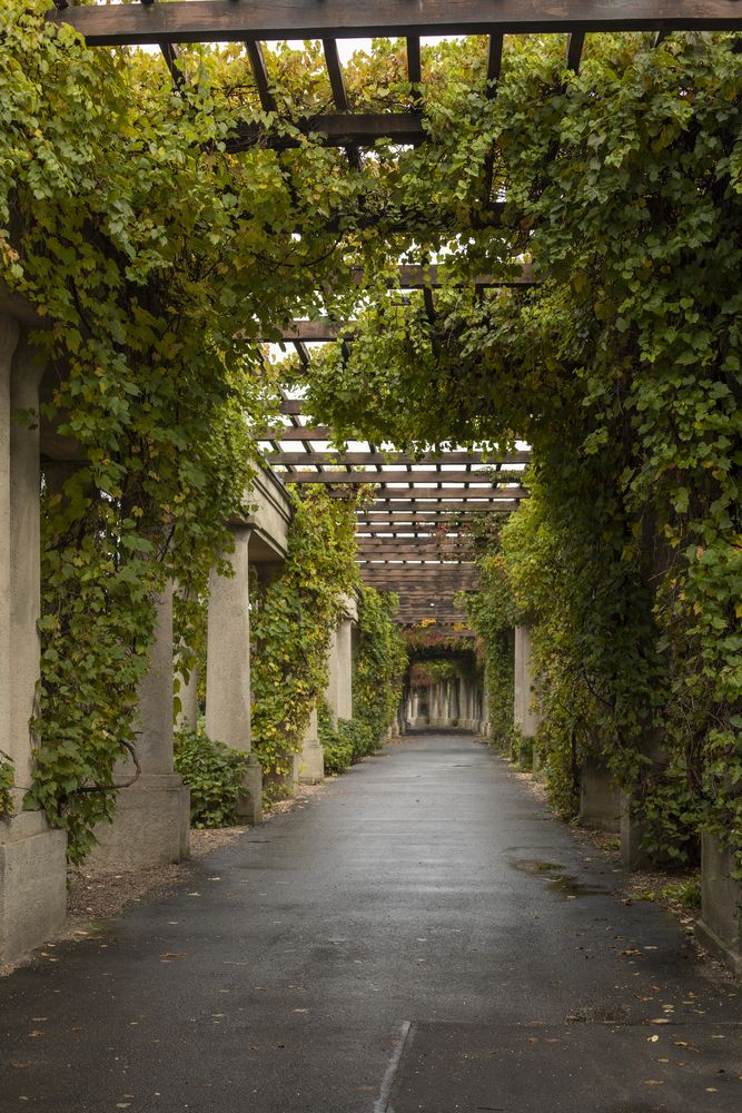 Photograph by Татьяна Дрозд