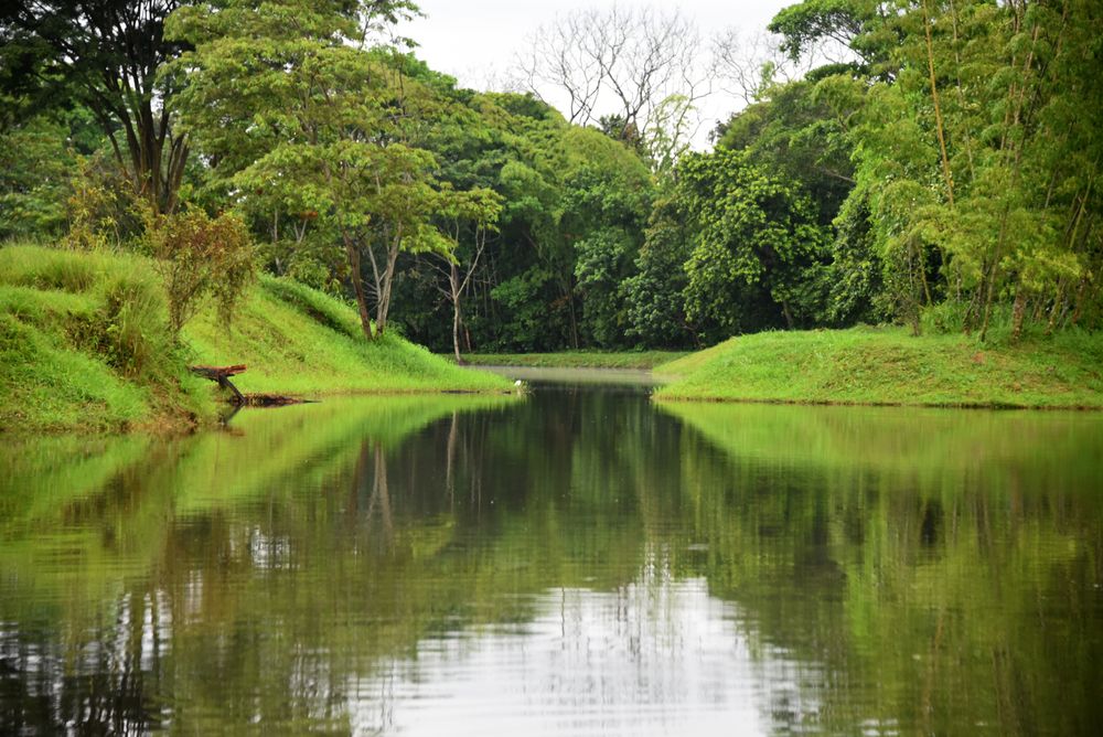 Фотография автора Camilo Martinez