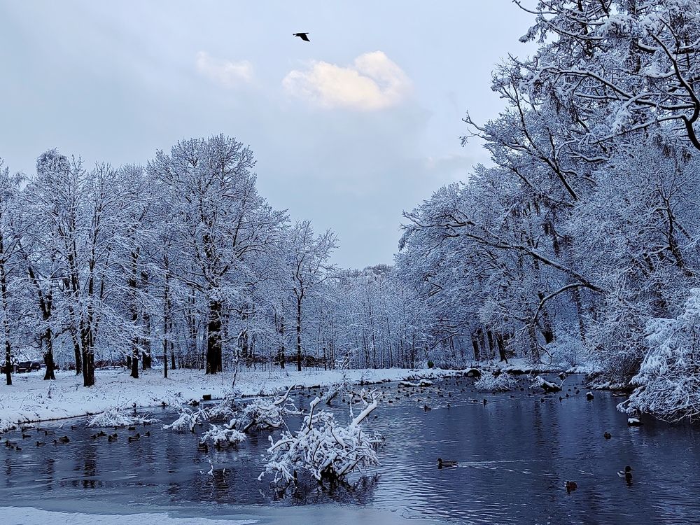 Photograph by Ольга Рыбина