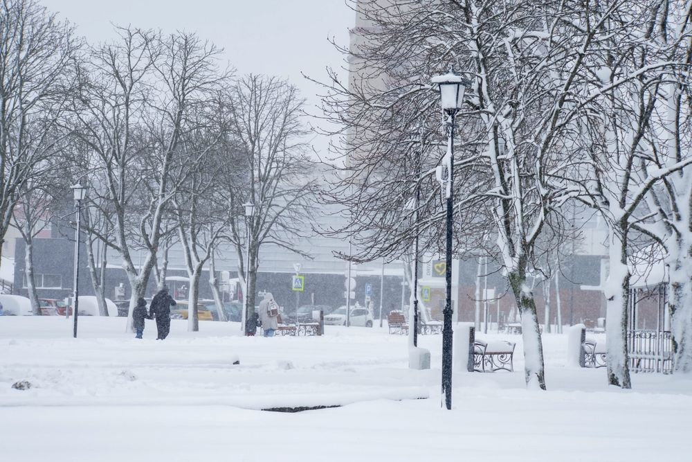 Фотография автора Александр Сенчуров