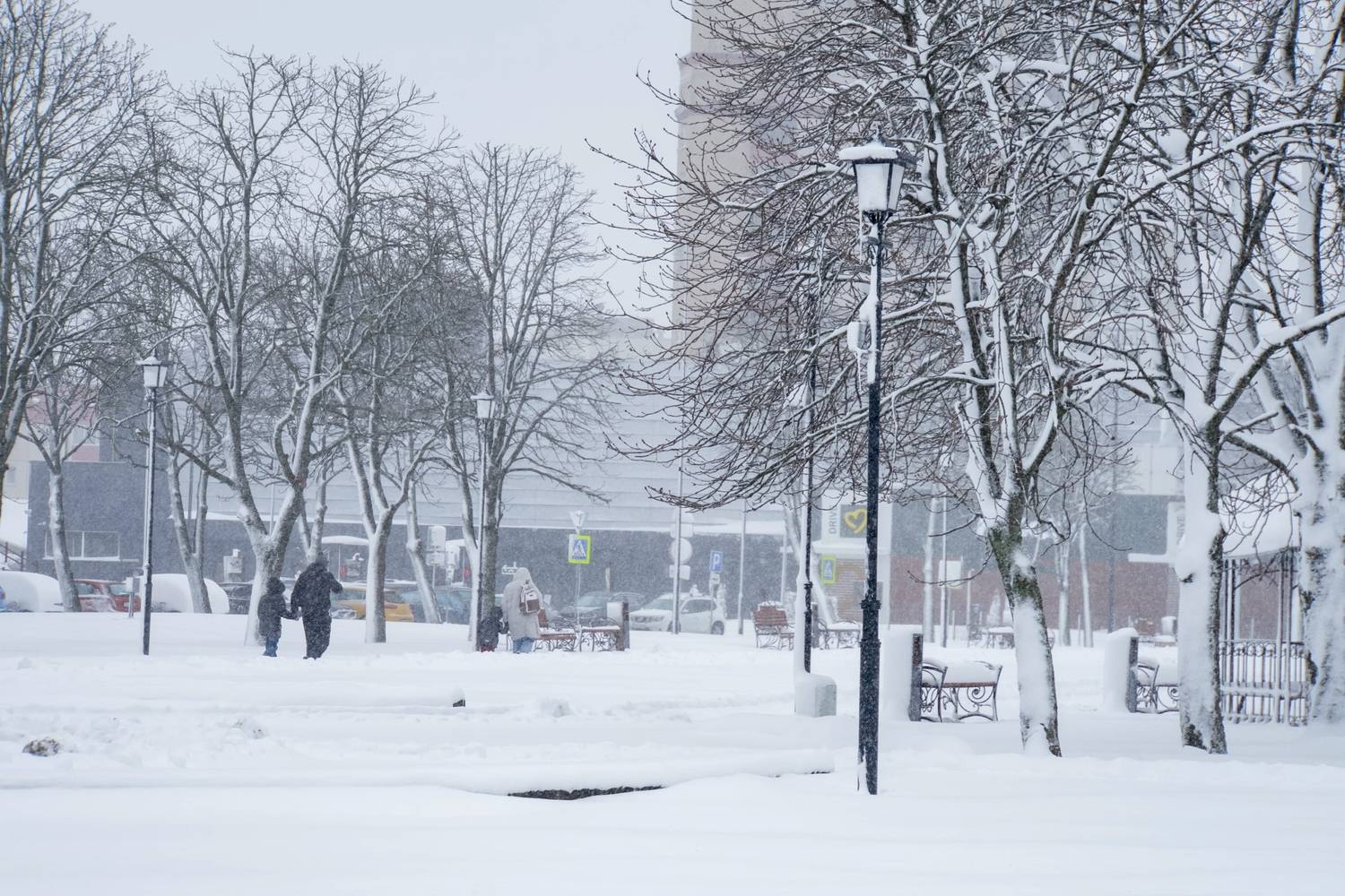 Фотография #13048073