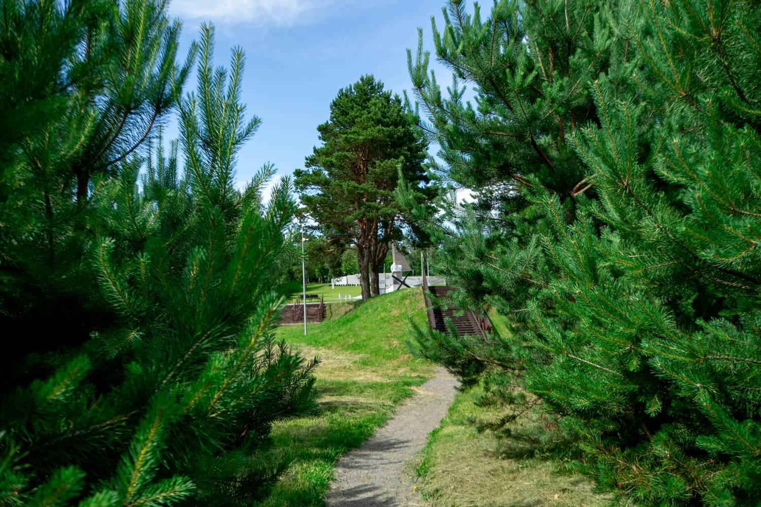 Фотография #13048076