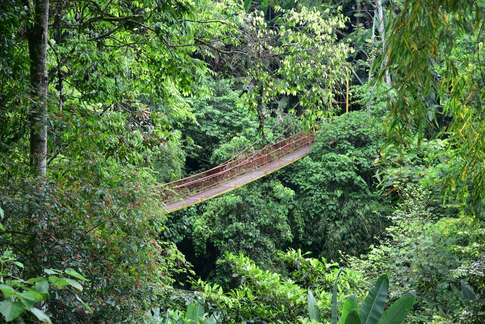 Фотография автора Camilo Martinez