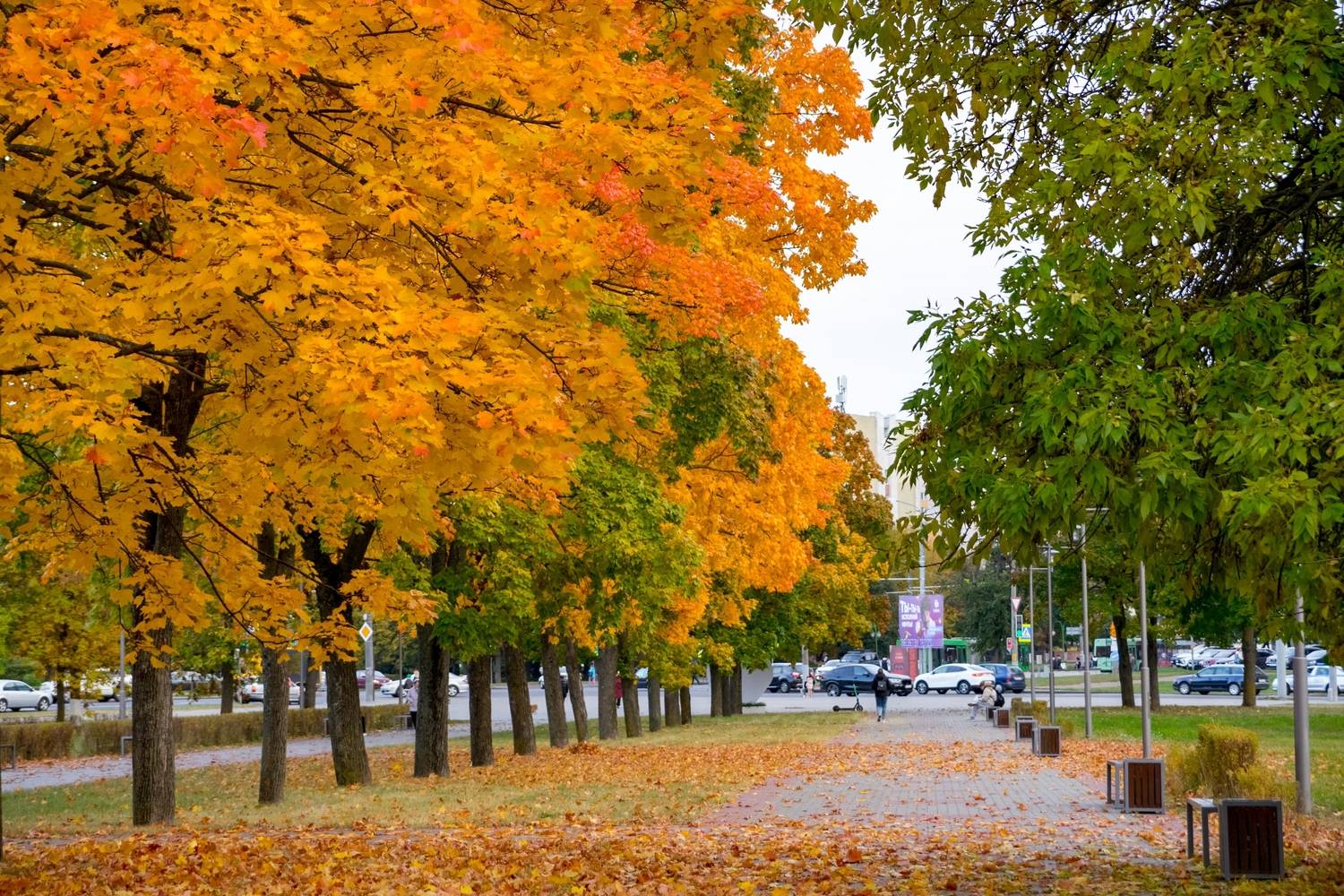 Фотография #13048080