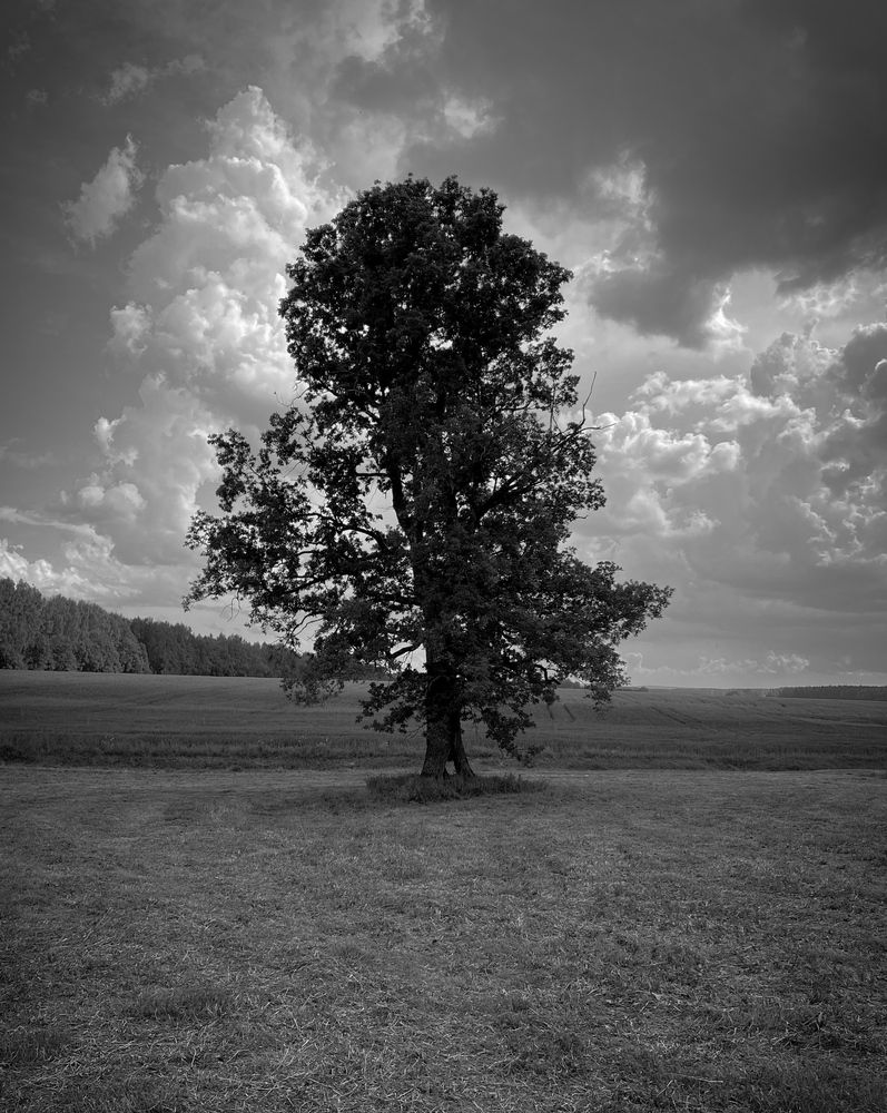 Photograph by Оксана Сологуб