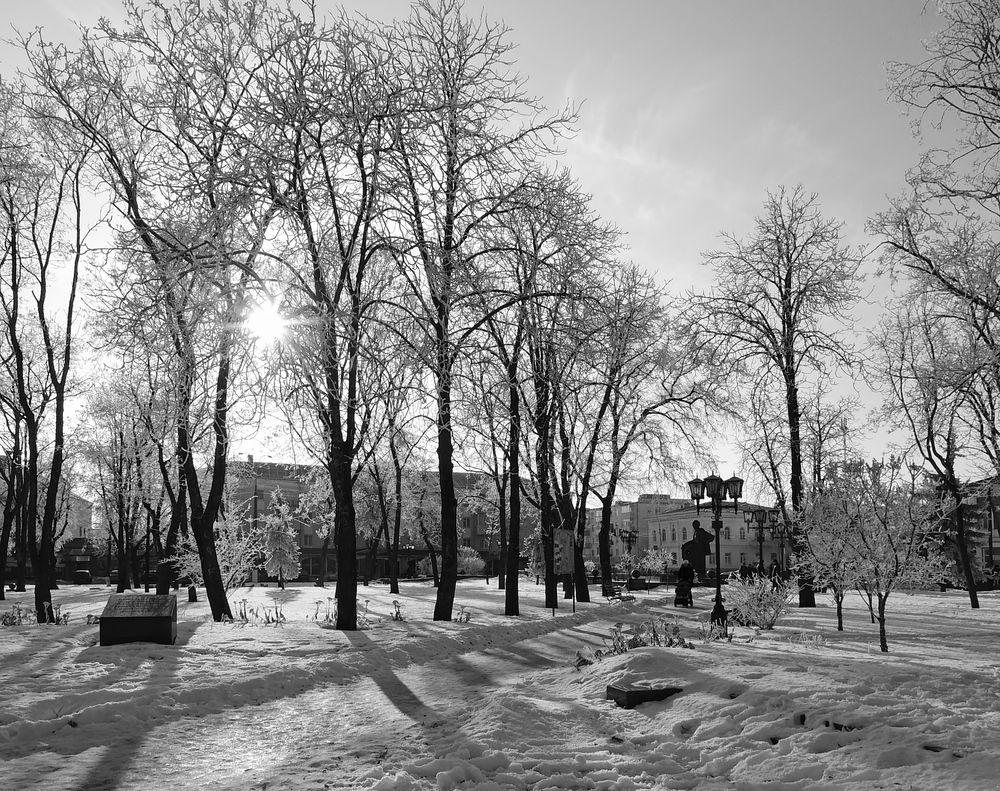 Фотография автора Роман Савоцкий