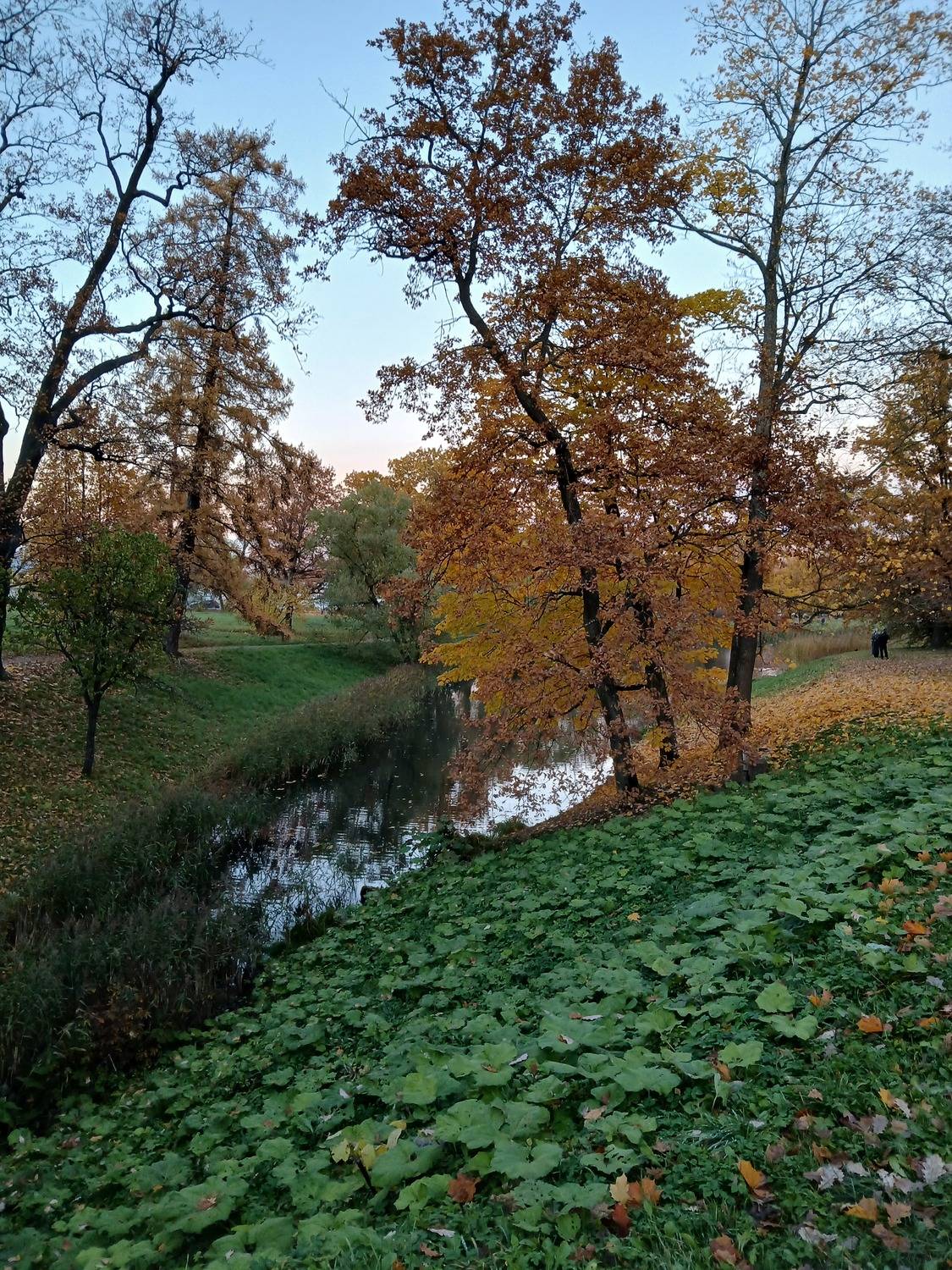 Photo #13048133