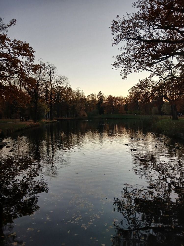Photo #13048134