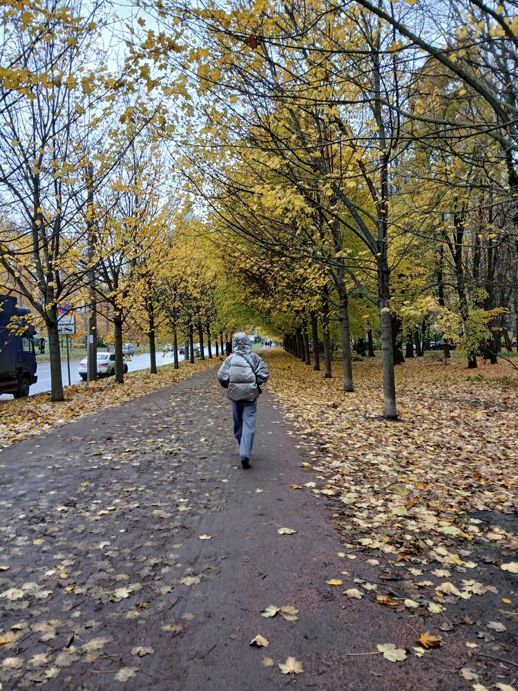 Photo #13048135