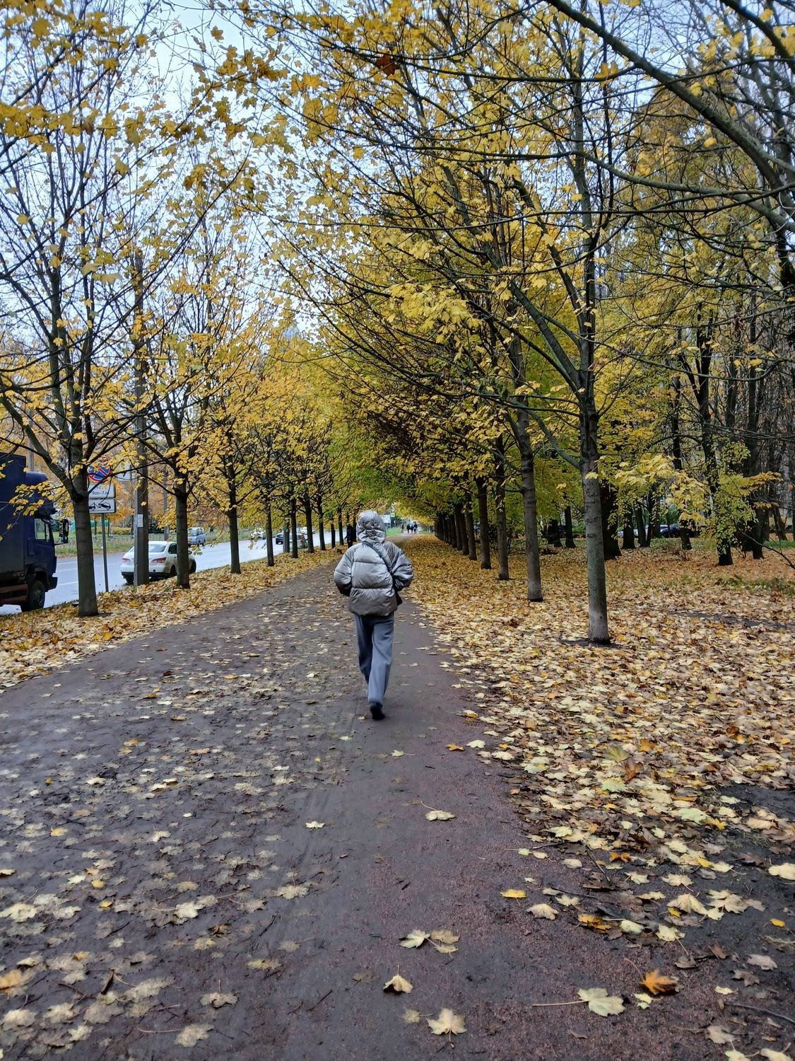 Photo #13048135