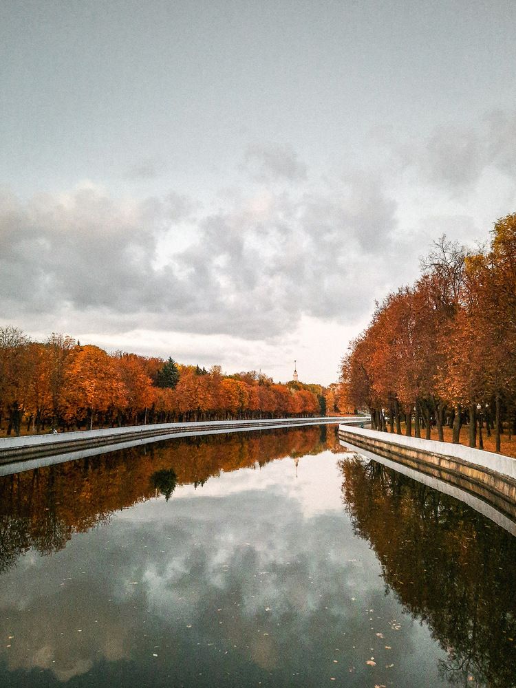 Photograph by Polina Pisar