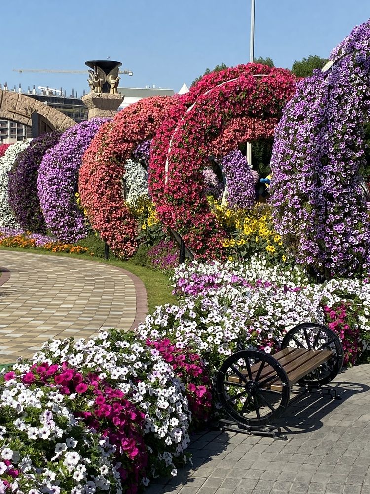 Photograph by Лидия Горностаева