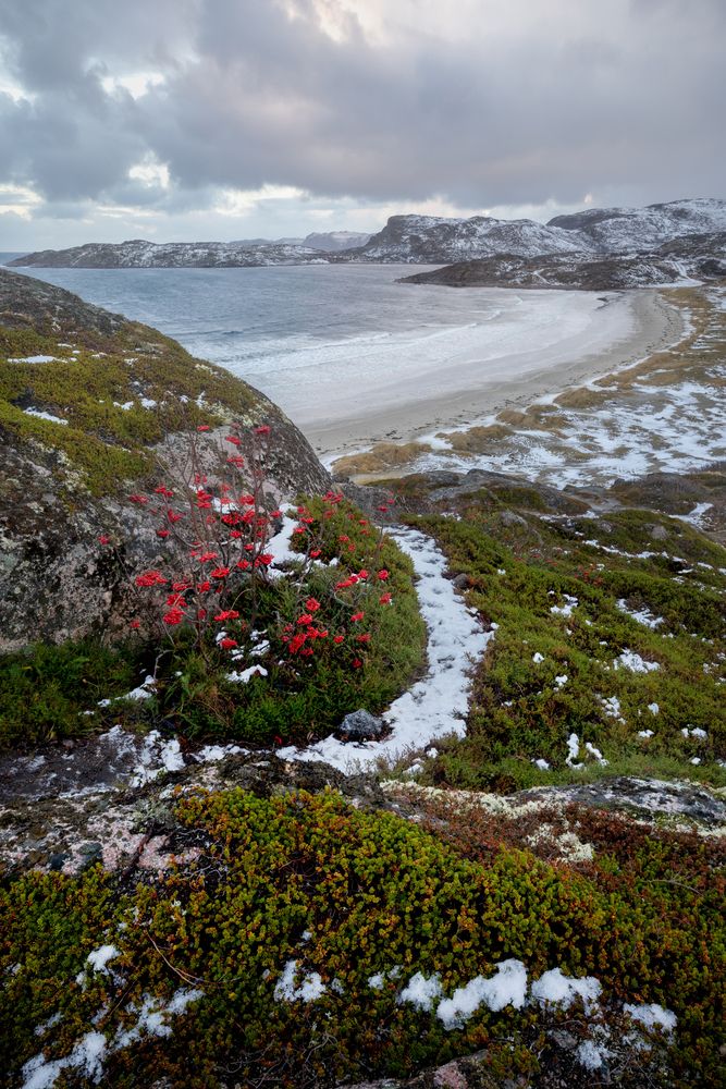 Photograph by Mikhail Konarev