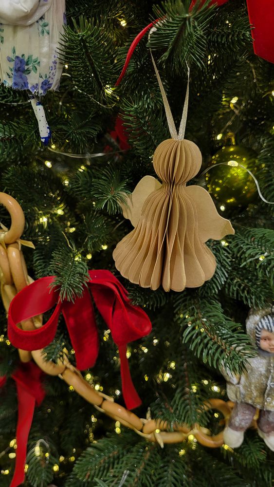 Фотография автора Татьяна Прашкевич