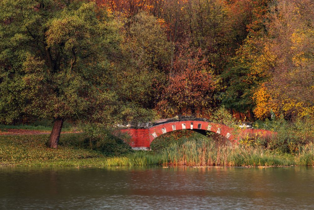 Photograph by Людмила Завьялова