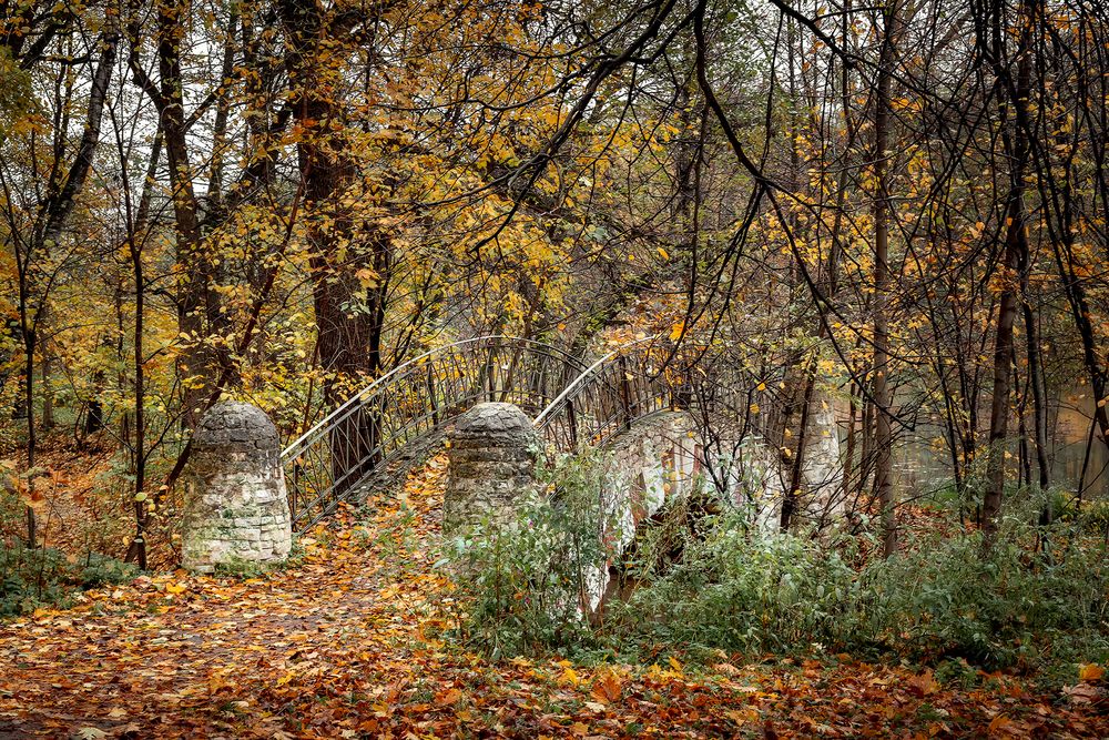 Photograph by Людмила Завьялова