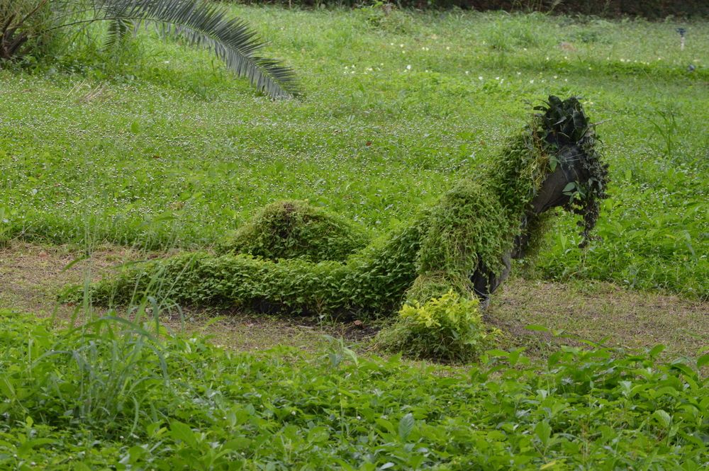 Фотография автора Camilo Martinez