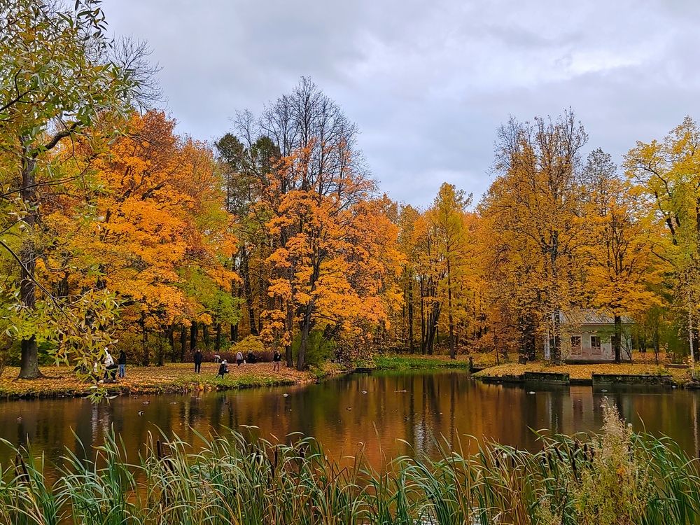 Очей очарование