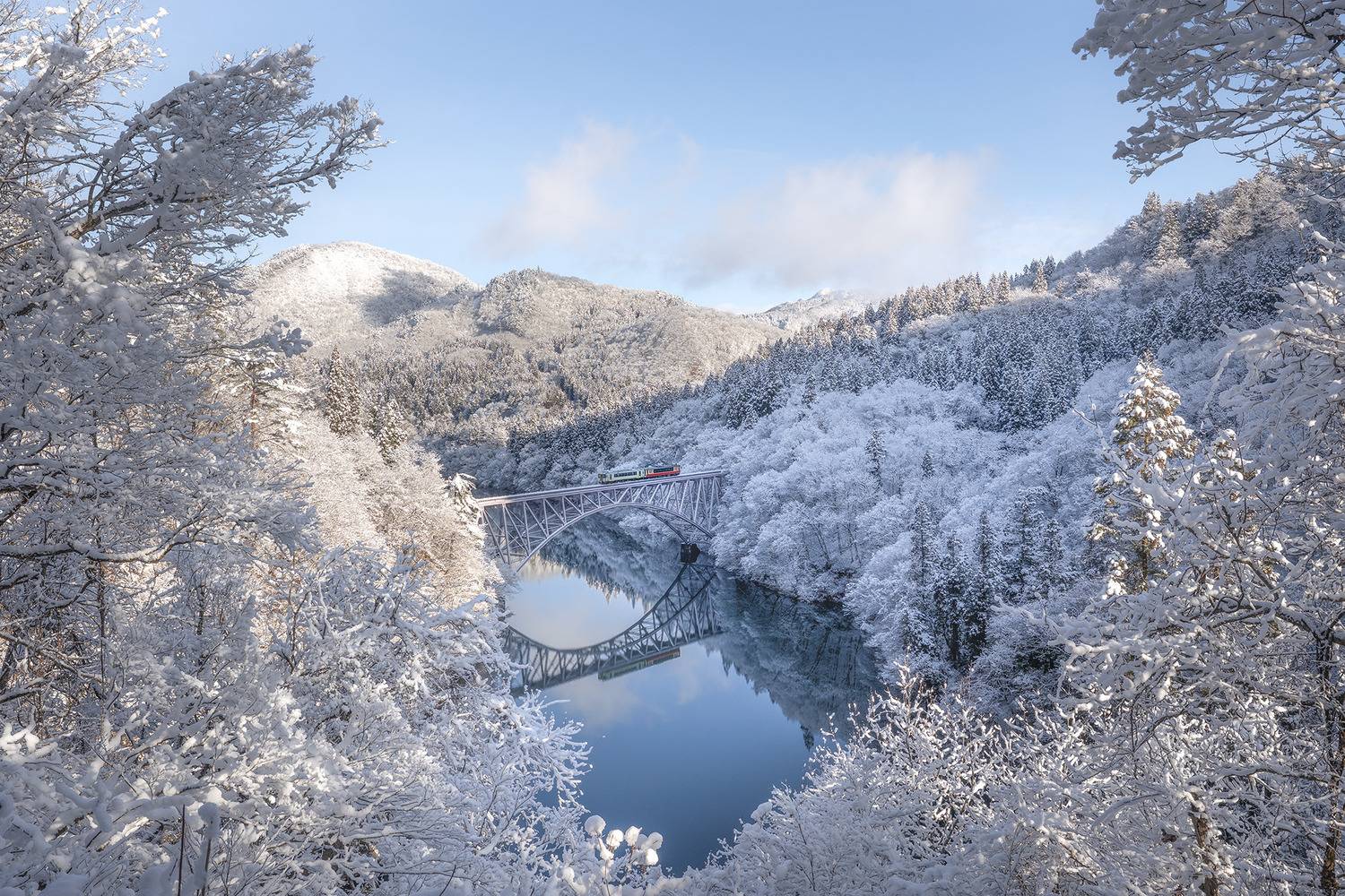 Фотография #13048244