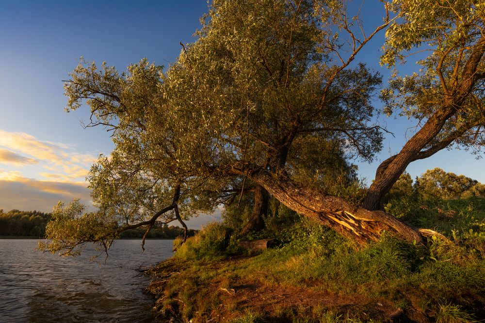Фотография автора Даян Шакиров