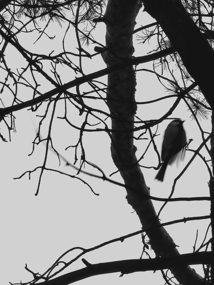 Photograph by татьяна